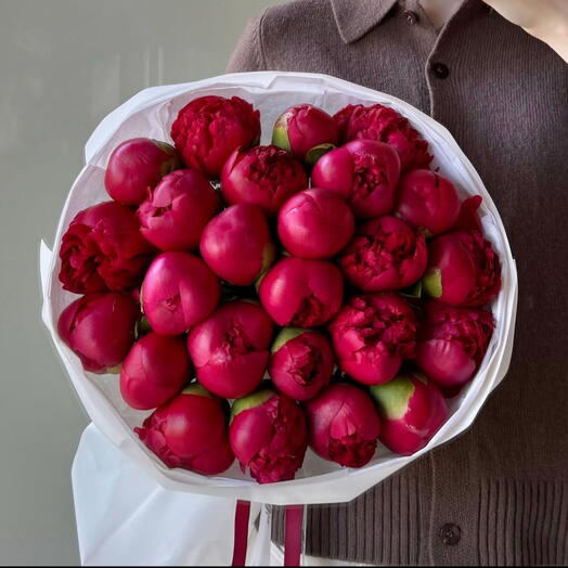 BURGUNDY LIMITED EDITION PEONY