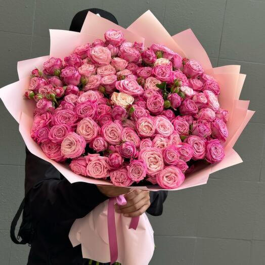 bush roses lady bombastic