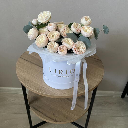 LIRIO 