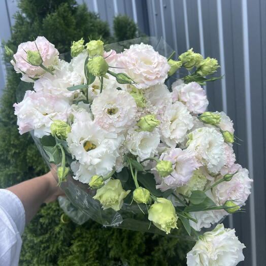 Эустома розовая 💐
