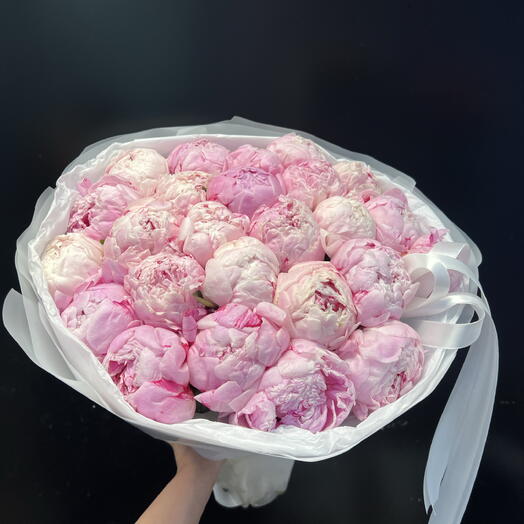 25 шикарных пионов 💝