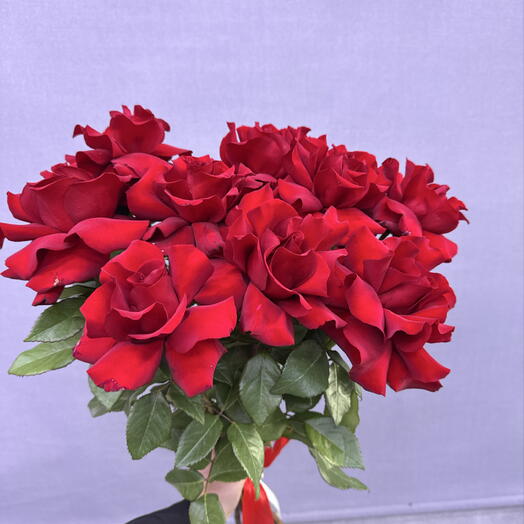 Красные французские розы 🌹