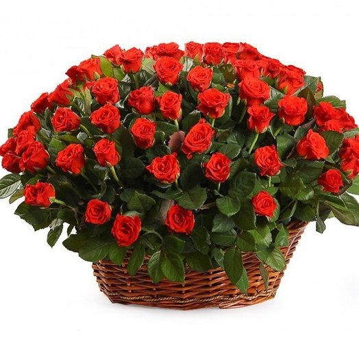 101 red roses