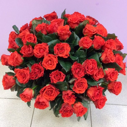 Ramo de rosas escarlatas 51 piezas