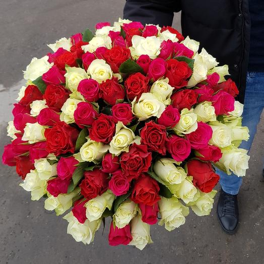 101 роза микс
