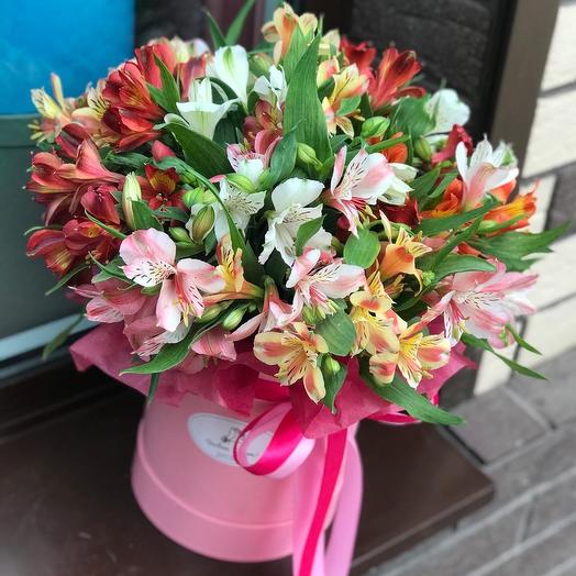 Alstroemeria for your favorite️