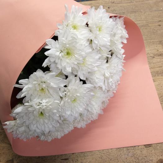 7 white Bush chrysanthemums