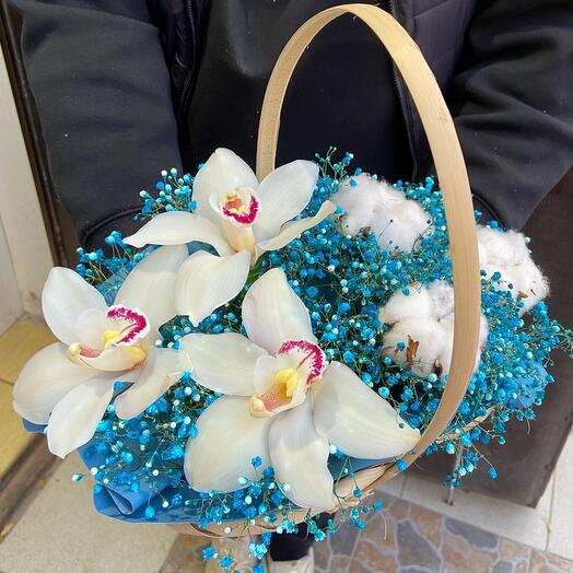 Cesta de flores " orquídea y Gypsophila»