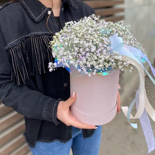 Composition of gypsophila