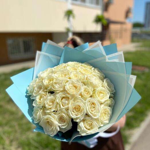 31 white Roses