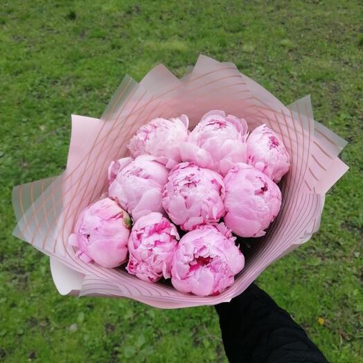 9 голландских пионов