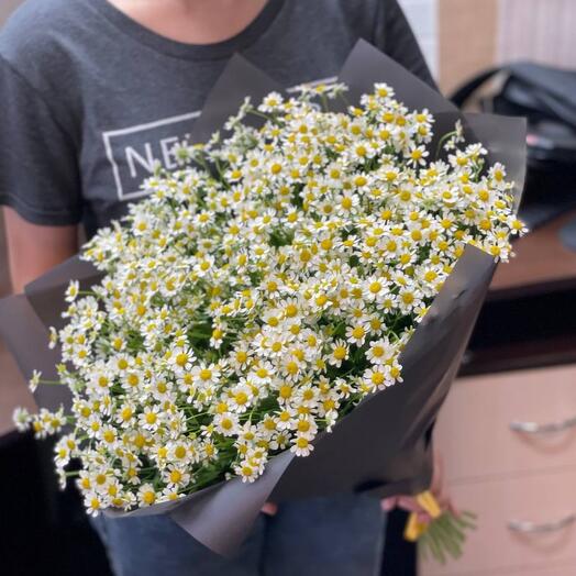 25 bush daisies 🌼