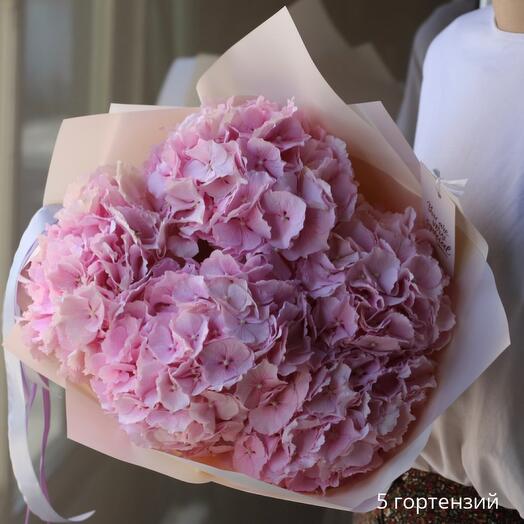 Hydrangeas