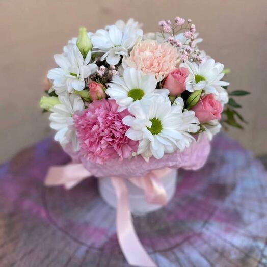 Chrysanthemum in a box