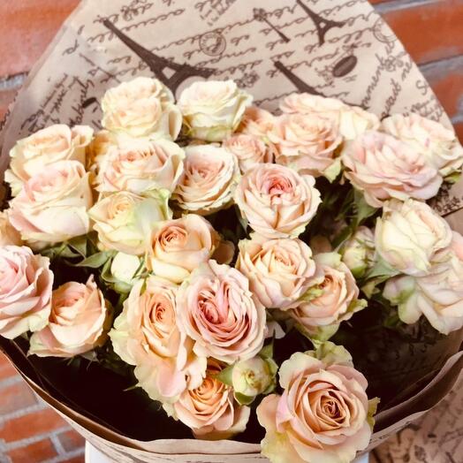 "VERSAL" 7 rosas arbustivas