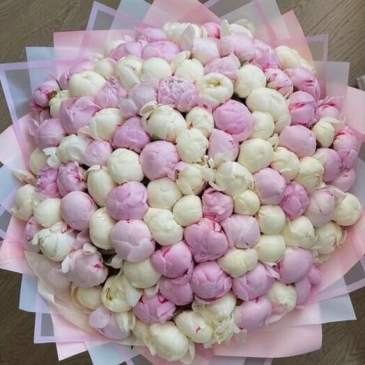 Bouquet of 101 peonies (Fusion)