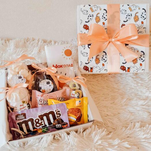 Set de regalo para niña con gatos gatos gatos regalo