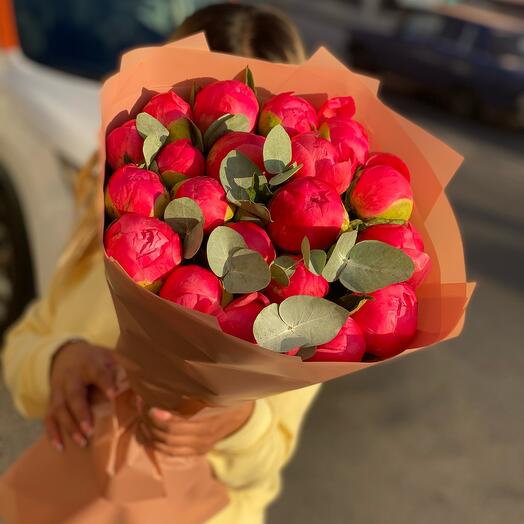 Коралловые пионы