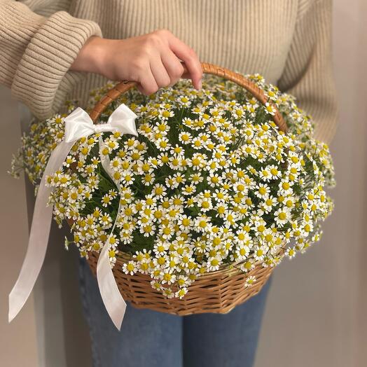 Я восхищаюсь тобой