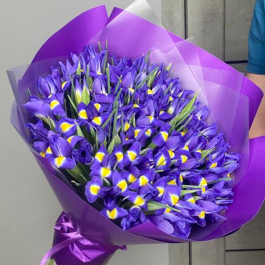Iris