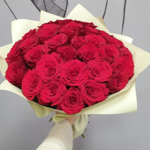 31 rosa