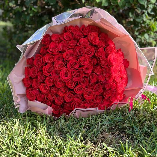 100 Nina qızılgül