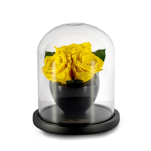 Yellow Preserved Roses in crystal vase Trio