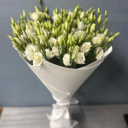 Eustoma