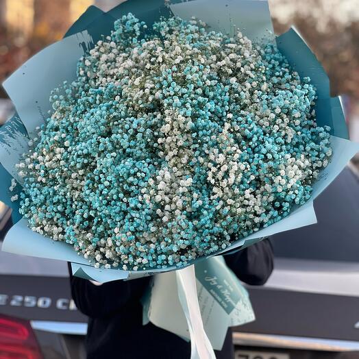 Bouquet of Gypsophila