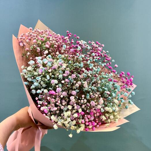 The Gypsophila Rainbow