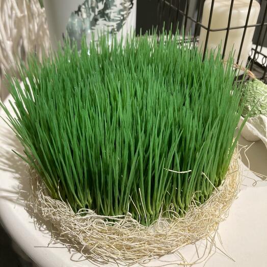 Composition of artificial grass