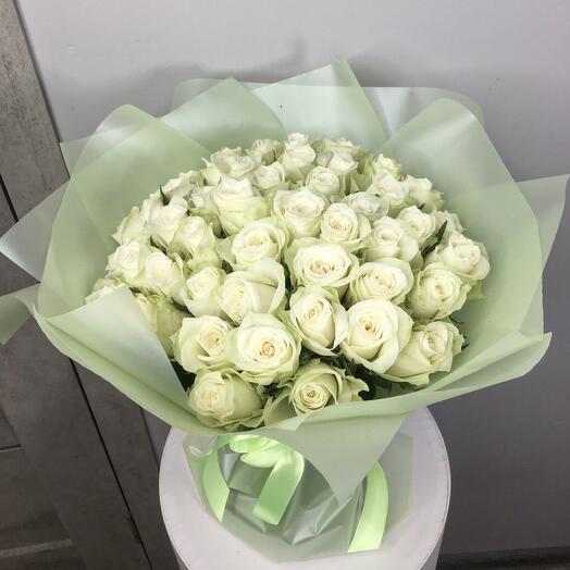 51 white rose