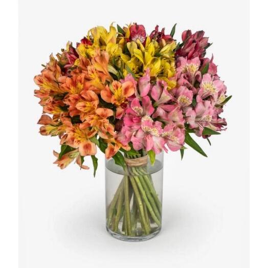 Mixed alstroemeria  Flower Vase