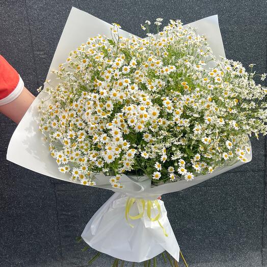 Big daisy bouquet