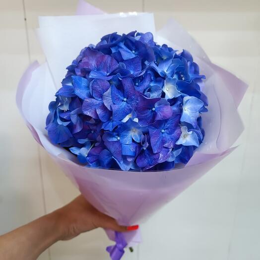 Bouquet of hydrangeas