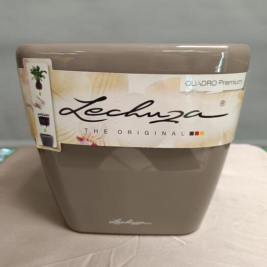Квадро LS 21