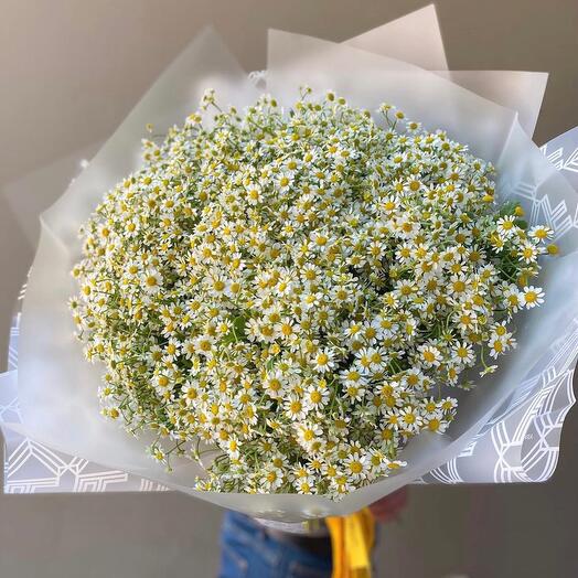 Большой букет ромашек