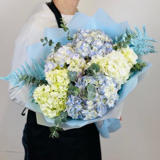 Bouquet of 5 white and blue hydrangeas with eucalyptus