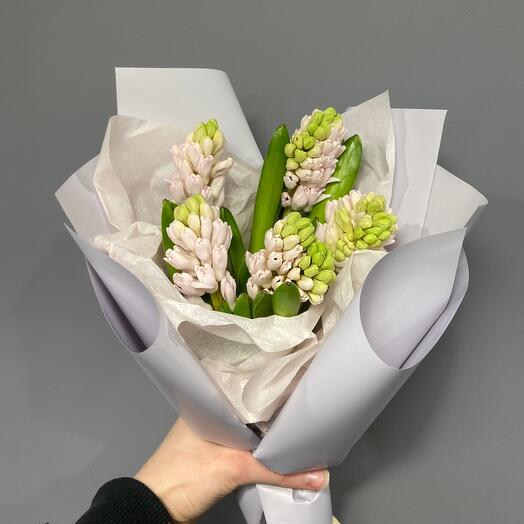 Моно из 5 гиацинтов