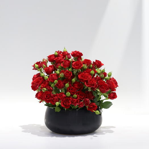 Valentine s Day Special Rose Arrangement