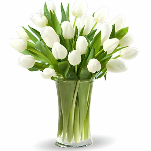 21 white Tulips