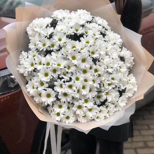 Chrysanthemum Bouquet