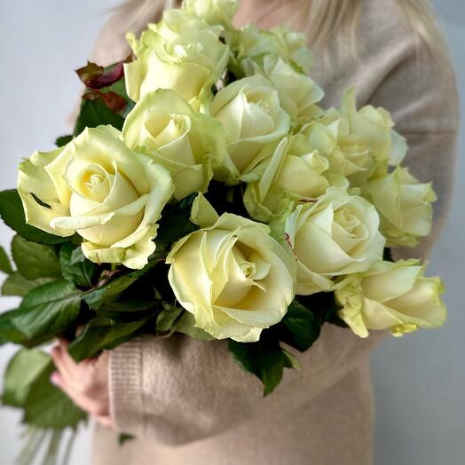 Bouquet of 15 white roses tied with ribbon