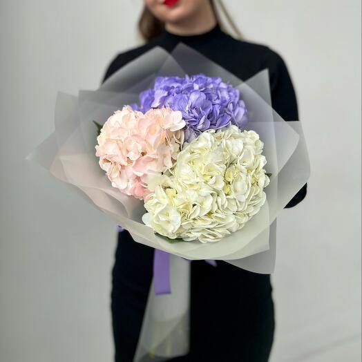 Букет из 3 цветных гортензий