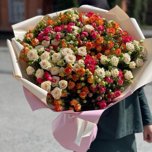 100 Spray roses