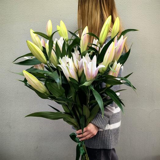 Букет из 9 лилий (код 36)