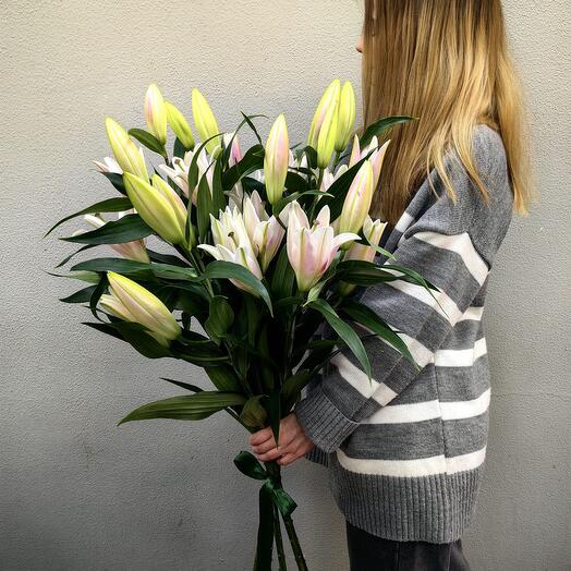 Букет из 5 лилий (код 65)