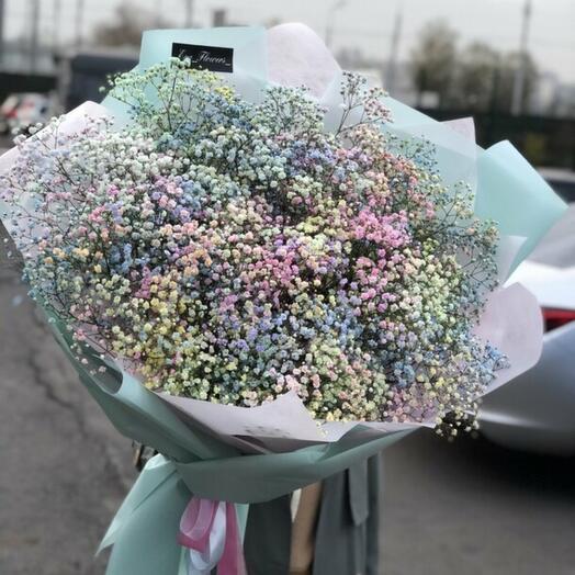 Gypsophila giant bouquet