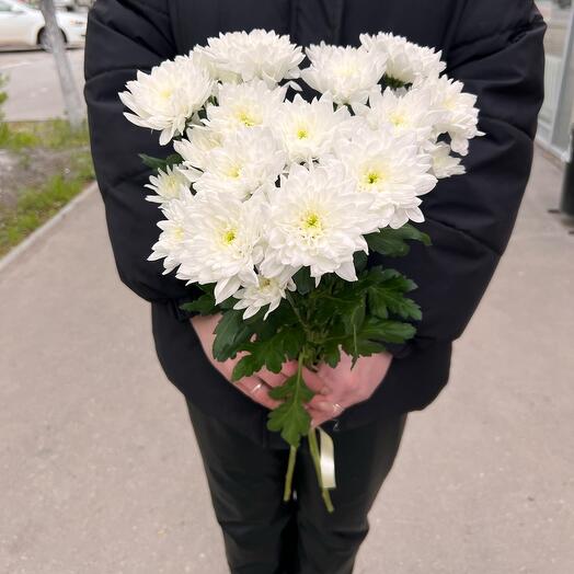 Алтай 3 штуки