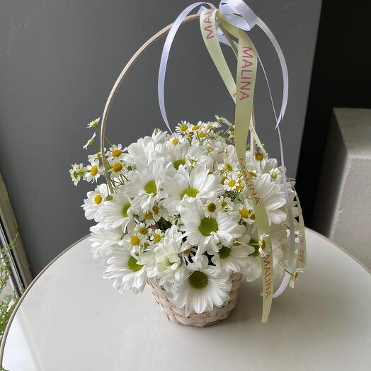 Mini basket with daisies and chrysanthemums